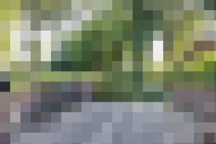 Marktweg 79 2 Heerenveen thumbnail 34