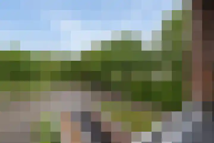 Marktweg 79 22 Heerenveen thumbnail 11