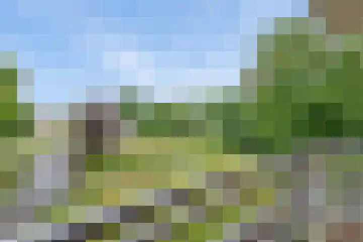 Marktweg 79 22 Heerenveen thumbnail 27