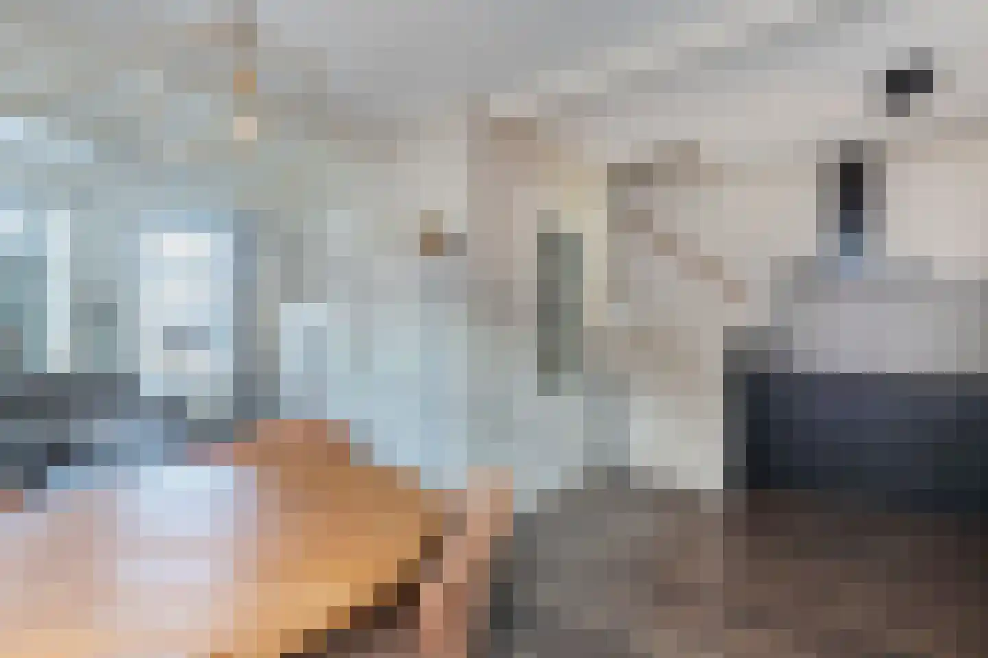 Marktweg 80 Oudeschoot thumbnail 12