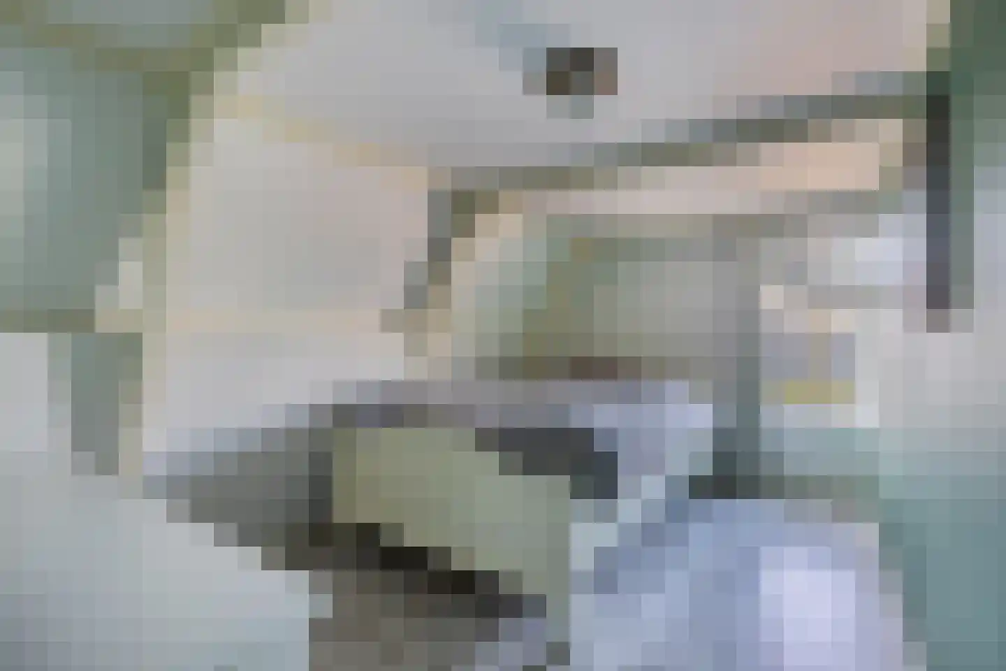 Marktweg 80 Oudeschoot thumbnail 18