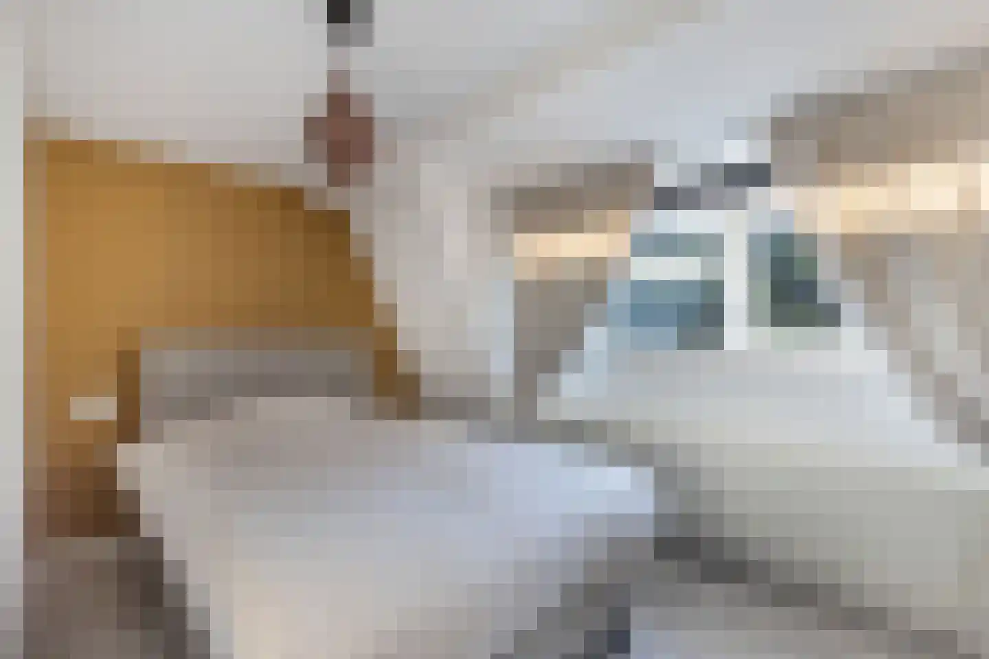 Marktweg 80 Oudeschoot thumbnail 22
