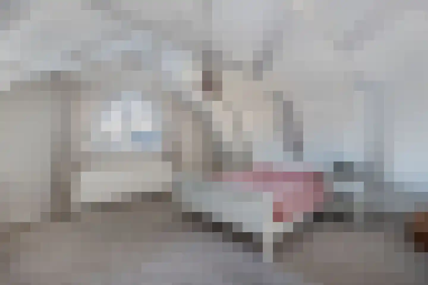 Marktweg 80 Oudeschoot thumbnail 23