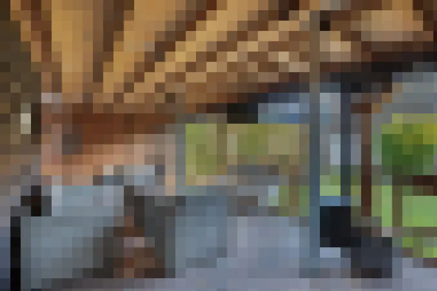 Marktweg 80 Oudeschoot thumbnail 27