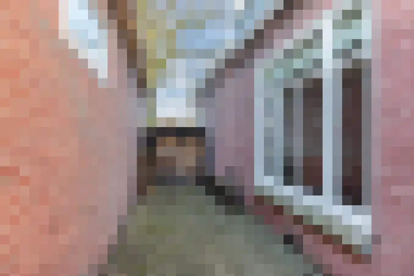 Marktweg 80 Oudeschoot thumbnail 33