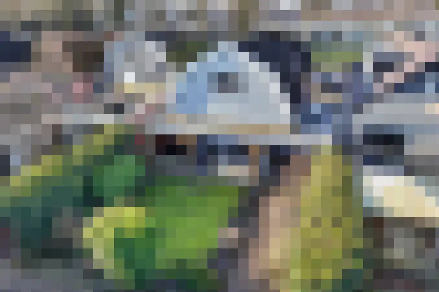 Marktweg 80 Oudeschoot thumbnail 35