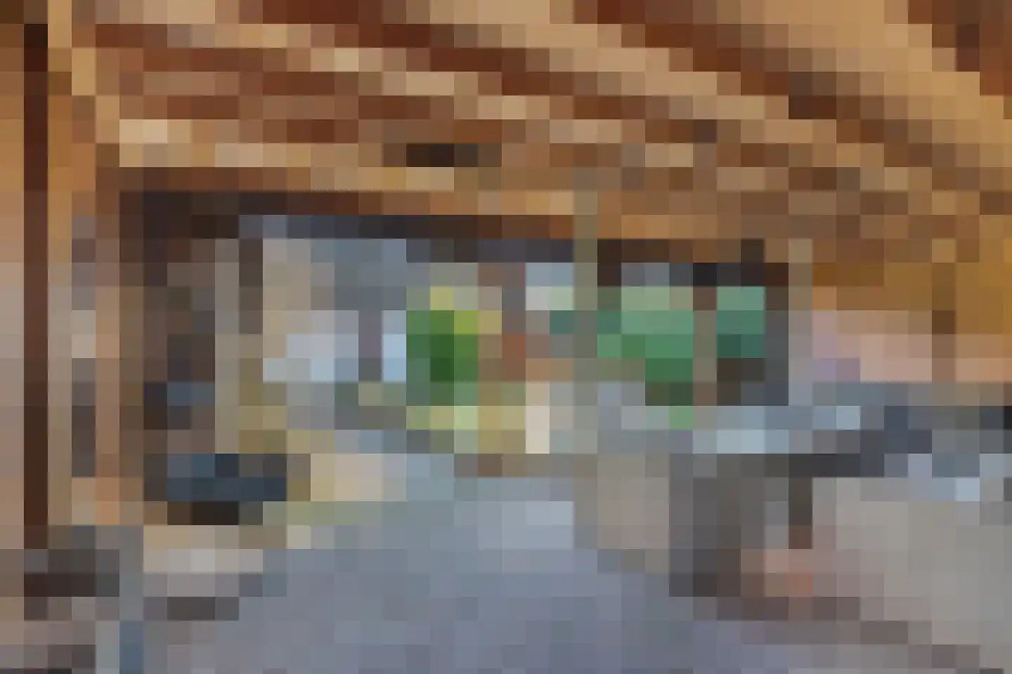 Marktweg 80 Oudeschoot thumbnail 4