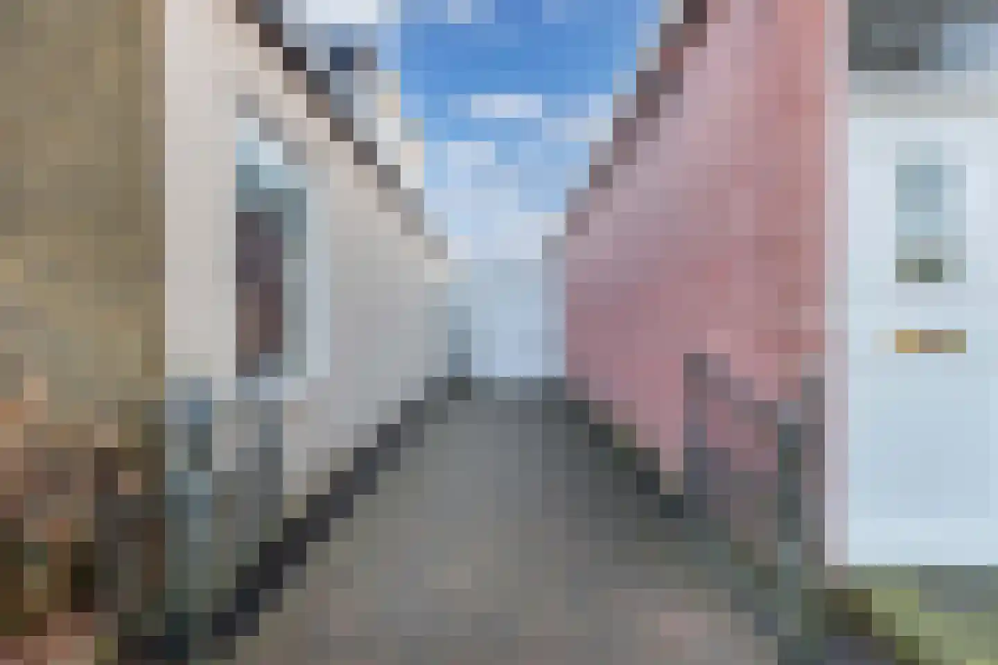 Marktweg 80 Oudeschoot thumbnail 40