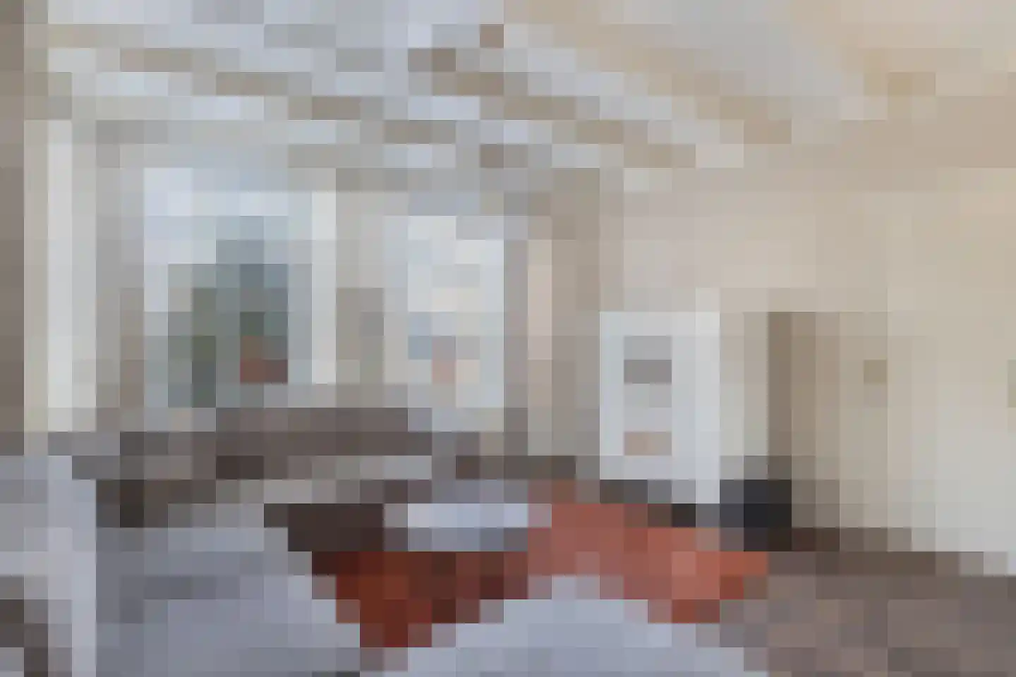 Marktweg 80 Oudeschoot thumbnail 8