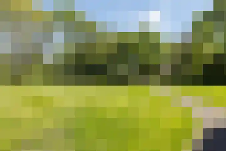 Marktweg 81 22 Heerenveen thumbnail 5