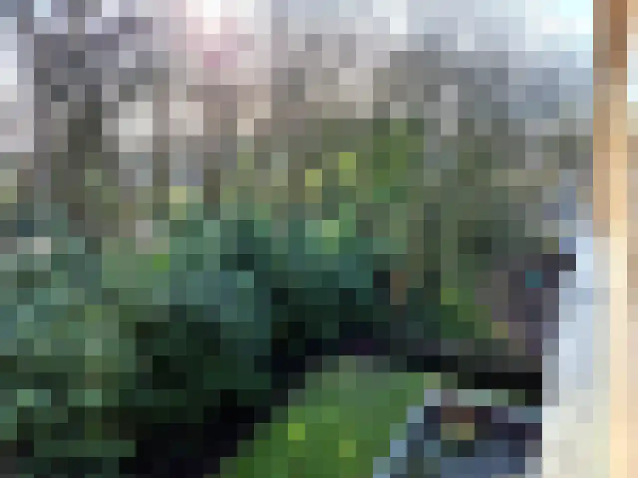 Marktweg 81 32 Heerenveen thumbnail 19