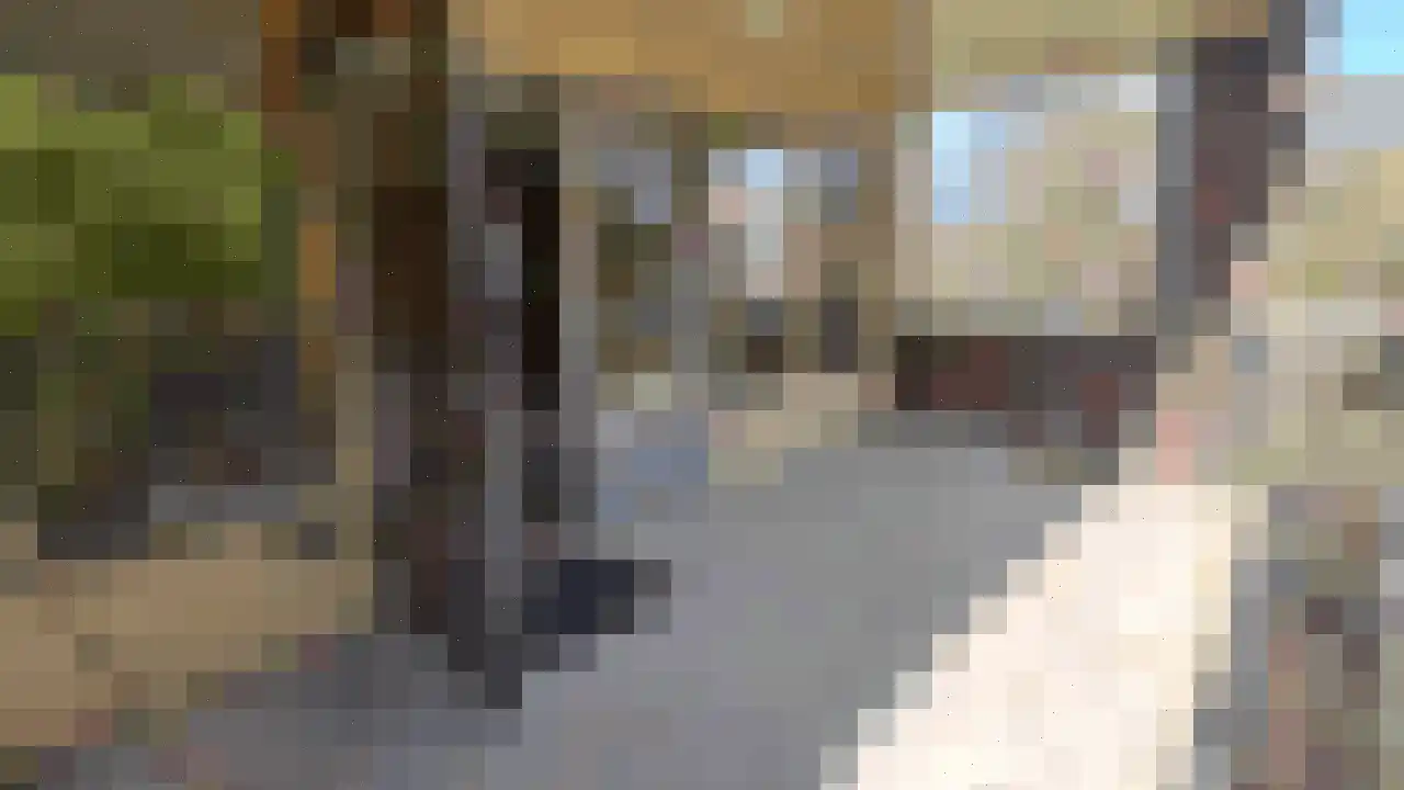 Marktweg 81 32 Heerenveen thumbnail 26