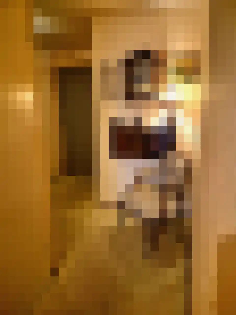 Marktweg 81 32 Heerenveen thumbnail 30