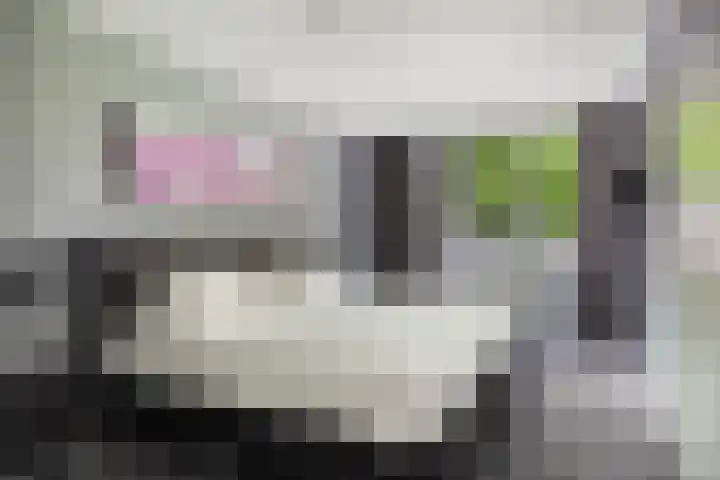 Markusberg 10 Breda thumbnail 16