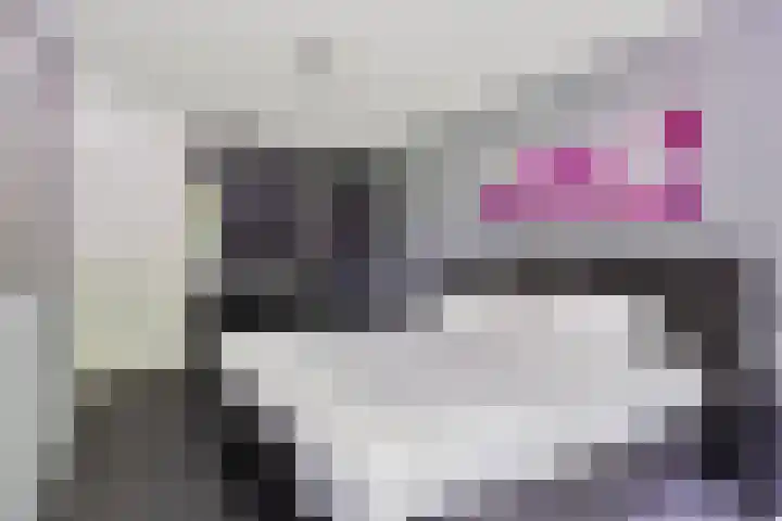 Markusberg 10 Breda thumbnail 17
