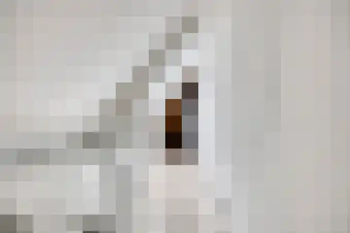 Markusberg 10 Breda thumbnail 27