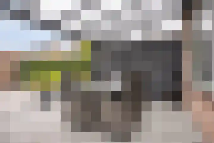 Markusberg 10 Breda thumbnail 32