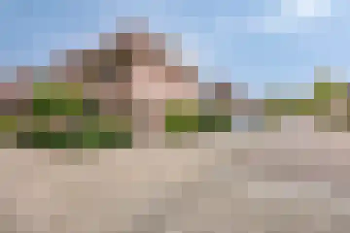 Markusberg 10 Breda thumbnail 37