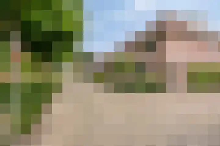Markusberg 10 Breda thumbnail 38