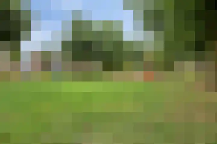 Markusberg 10 Breda thumbnail 39