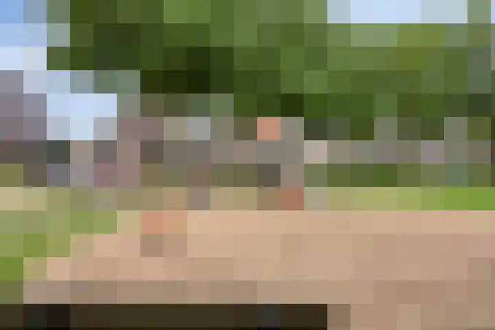 Markusberg 10 Breda thumbnail 4