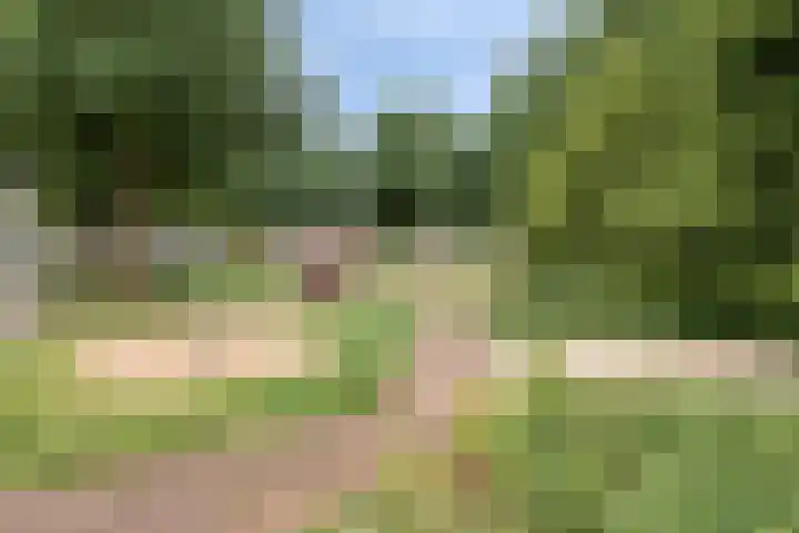 Markusberg 10 Breda thumbnail 40