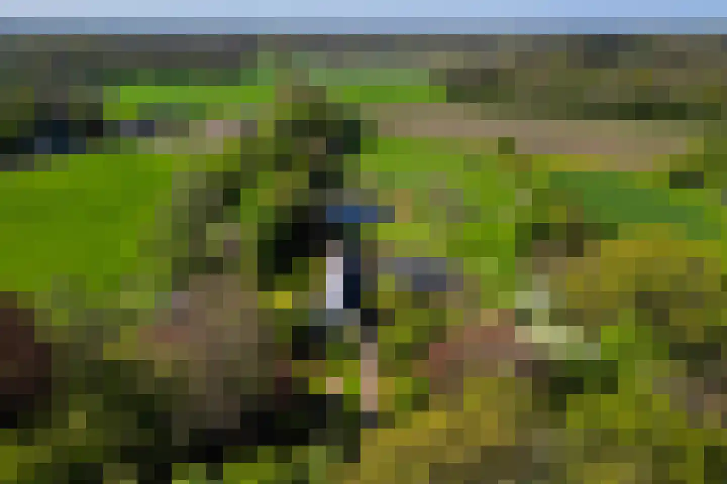 Markveldseweg 8 a Diepenheim thumbnail 39
