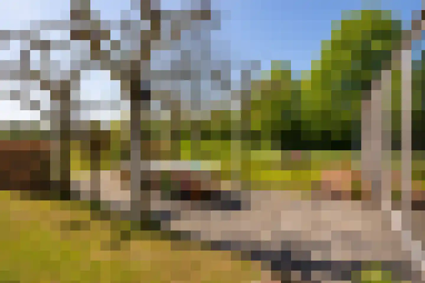Markveldseweg 8 a Diepenheim thumbnail 43