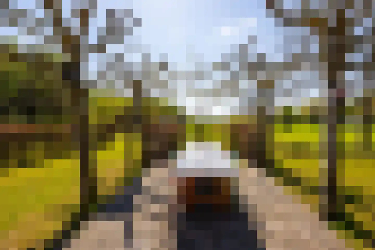 Markveldseweg 8 a Diepenheim thumbnail 44