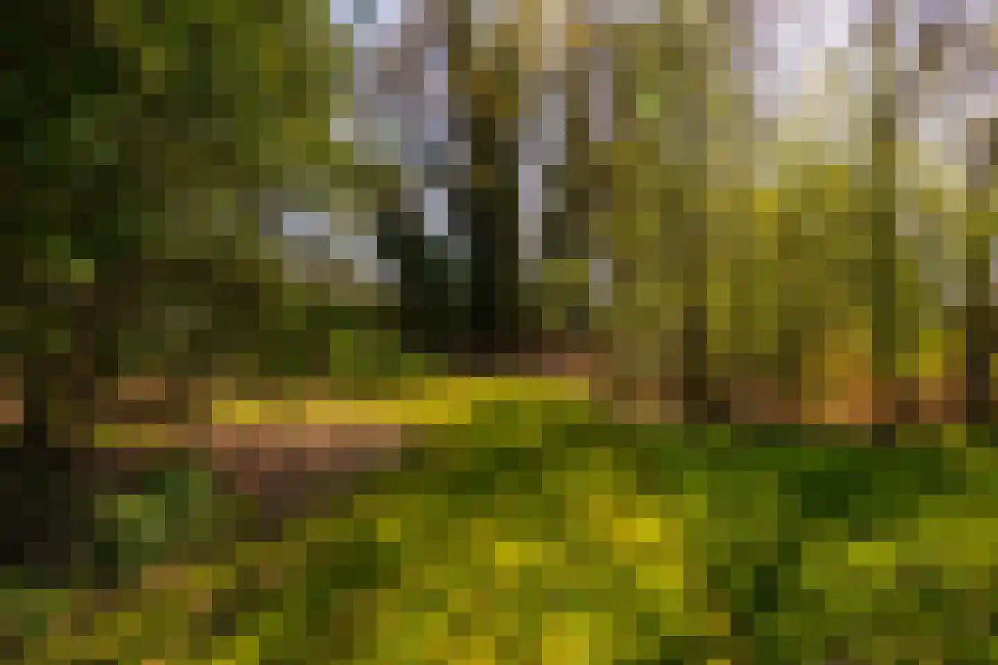 Markveldseweg 8 a Diepenheim thumbnail 49