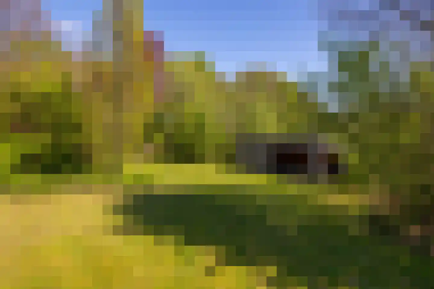 Markveldseweg 8 a Diepenheim thumbnail 50