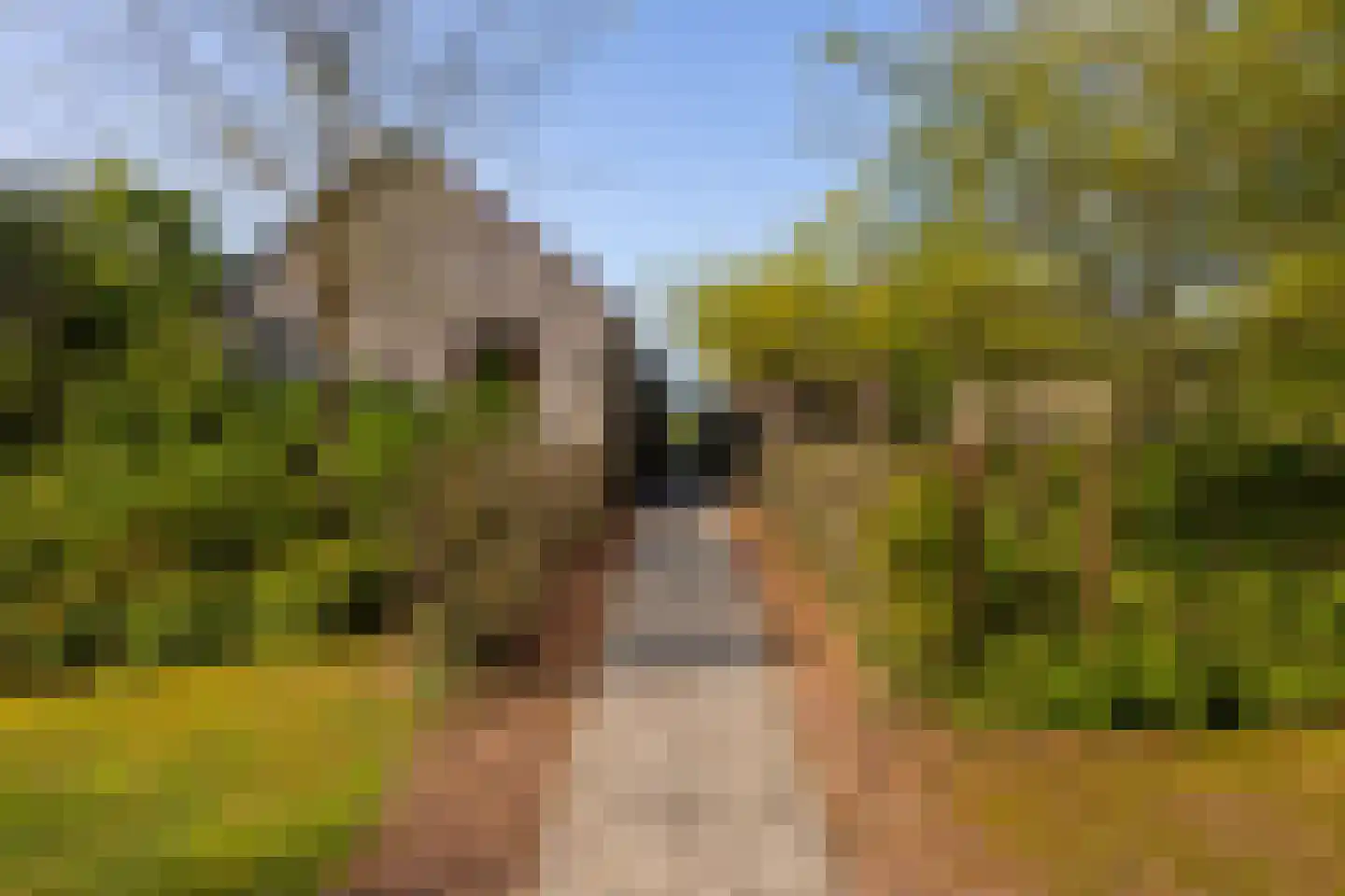 Markveldseweg 8 a Diepenheim thumbnail 52
