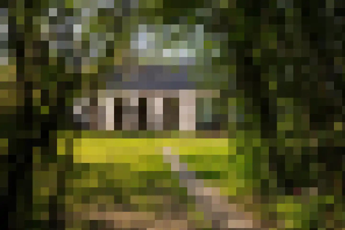 Markveldseweg 8 a Diepenheim thumbnail 53