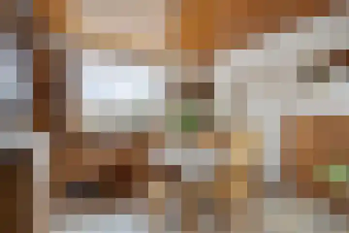 Markweg 1 Strijbeek thumbnail 10