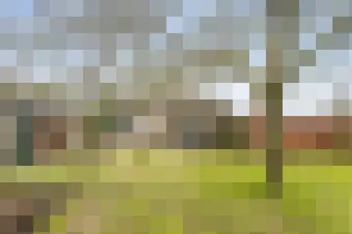 Markweg 1 Strijbeek thumbnail 23