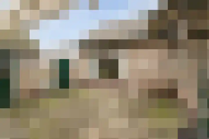 Markweg 1 Strijbeek thumbnail 25