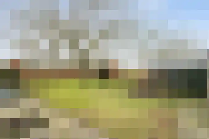 Markweg 1 Strijbeek thumbnail 27