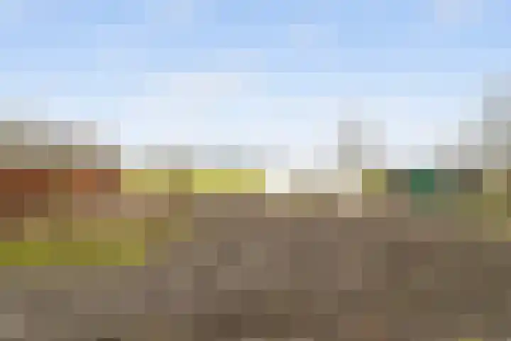 Markweg 1 Strijbeek thumbnail 29