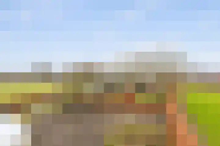 Markweg 1 Strijbeek thumbnail 4