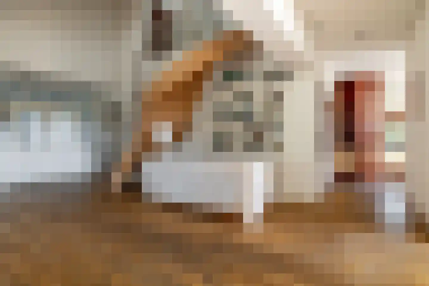Markweg 4 A Strijbeek thumbnail 10