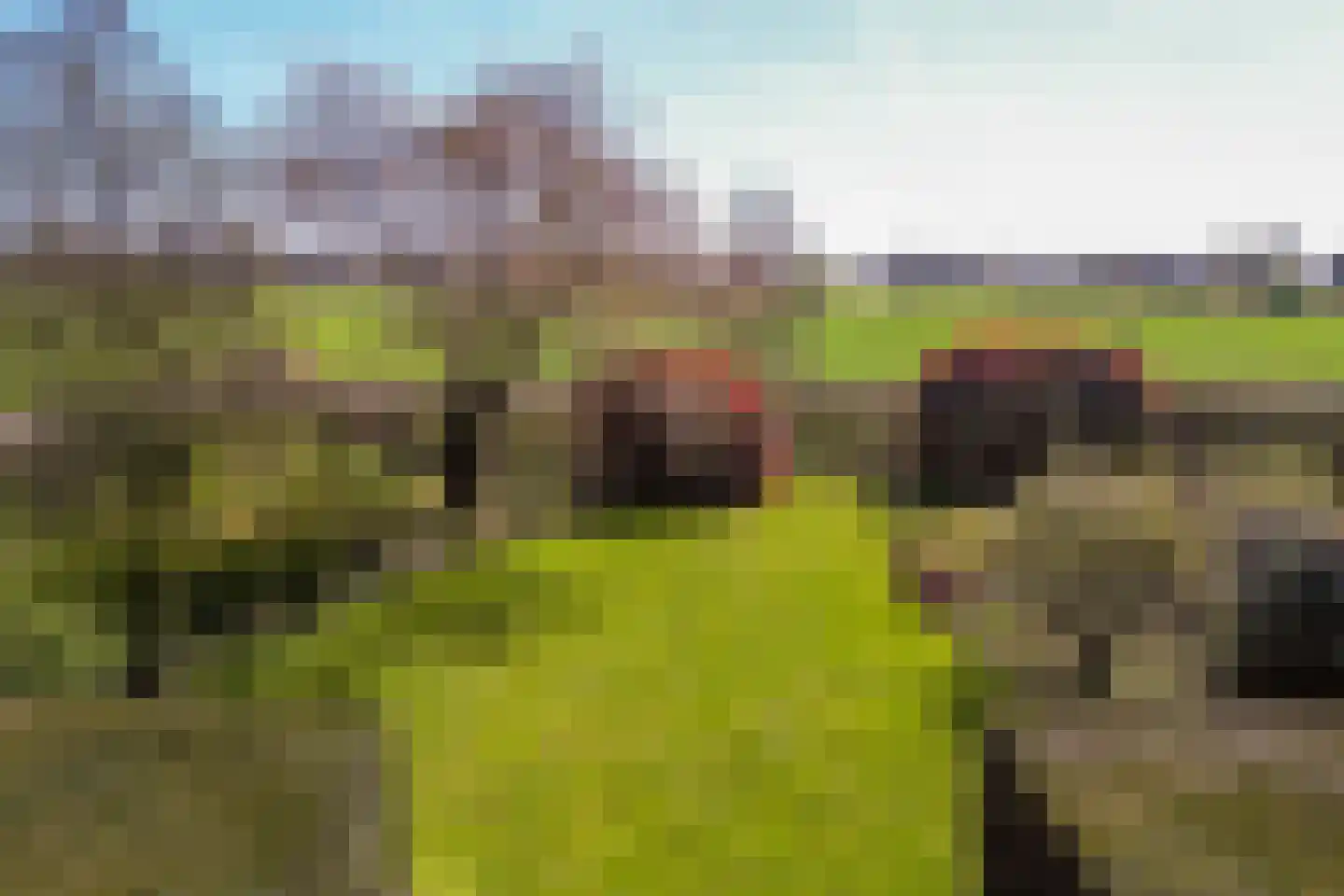 Markweg 4 A Strijbeek thumbnail 50
