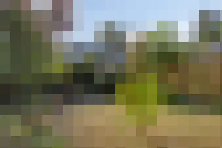 Markweg 5 Renkum thumbnail 27