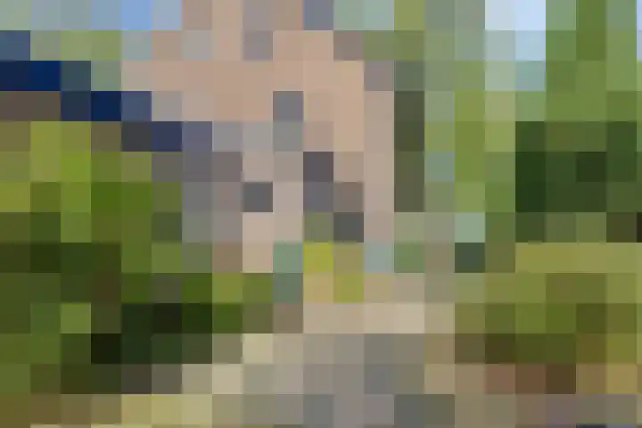 Markweg 5 Renkum thumbnail 31