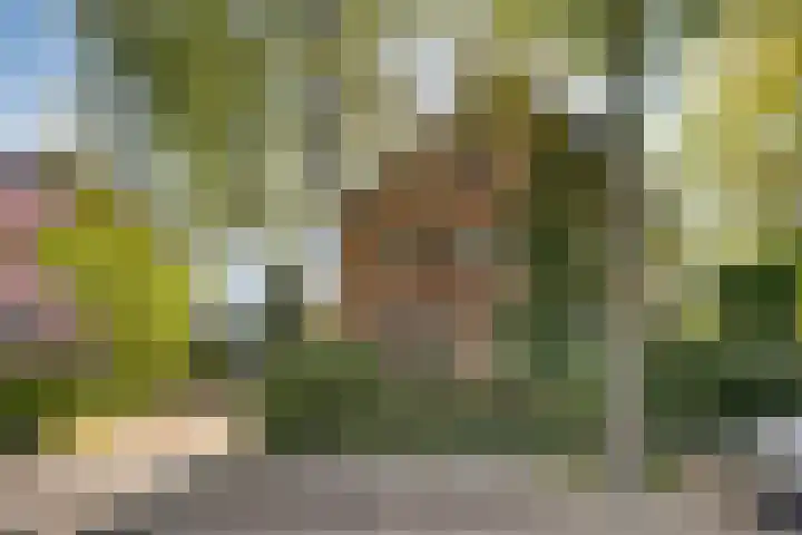 Markweg 5 Renkum thumbnail 4