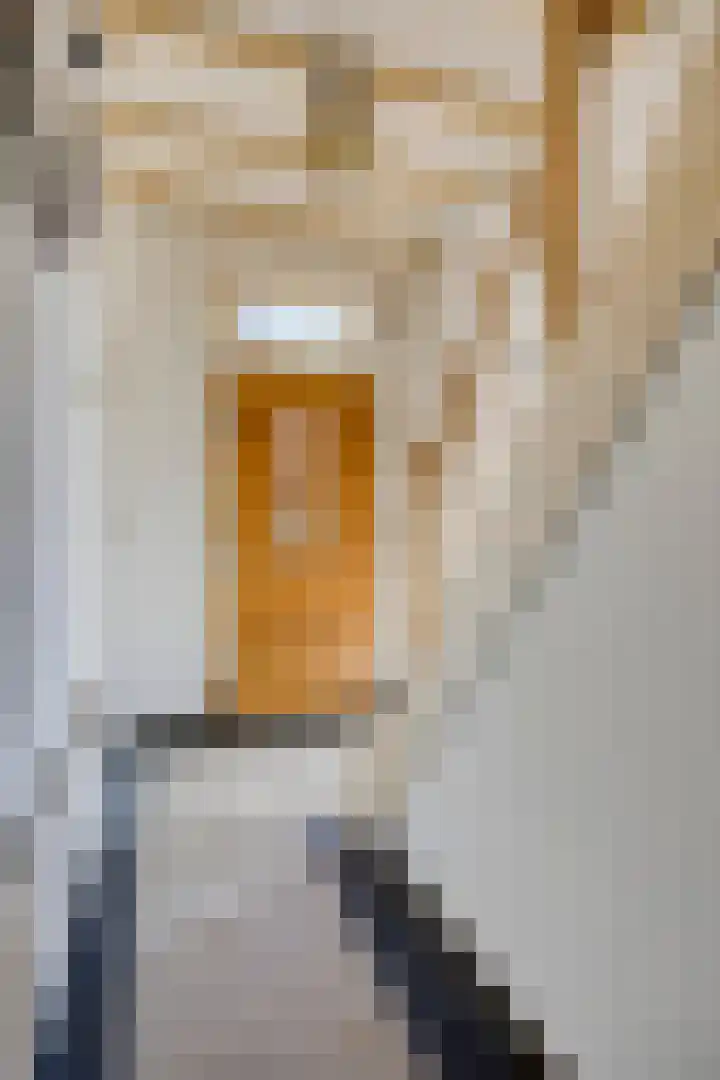Markweg 5 Renkum thumbnail 5