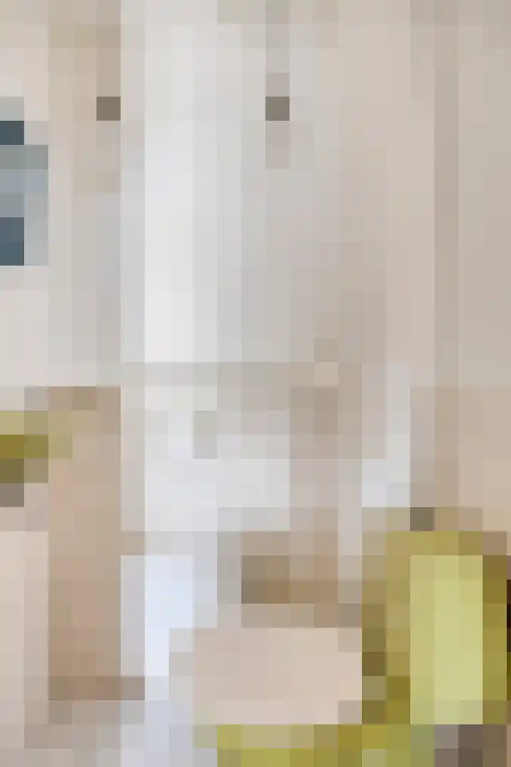 Markweg 5 Renkum thumbnail 6