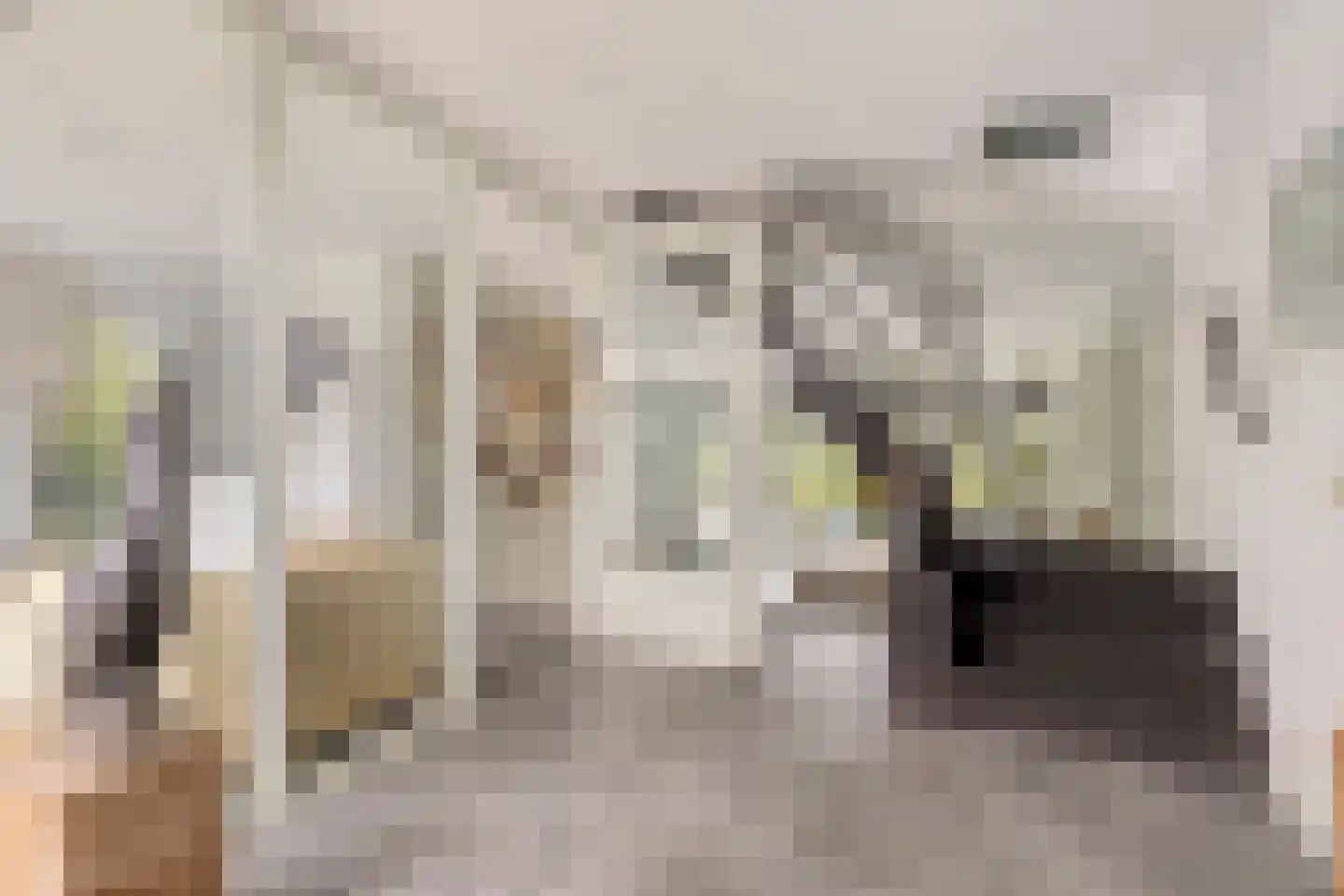 Marlestraat 23 Tilburg thumbnail 7