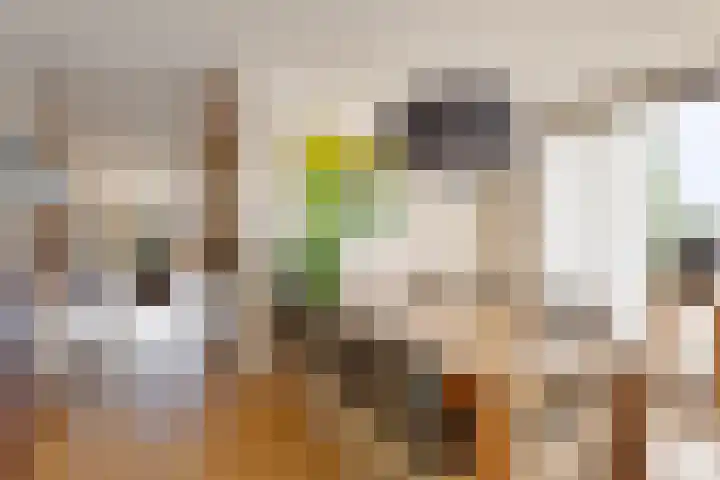 Marlestraat 24 Tilburg thumbnail 20
