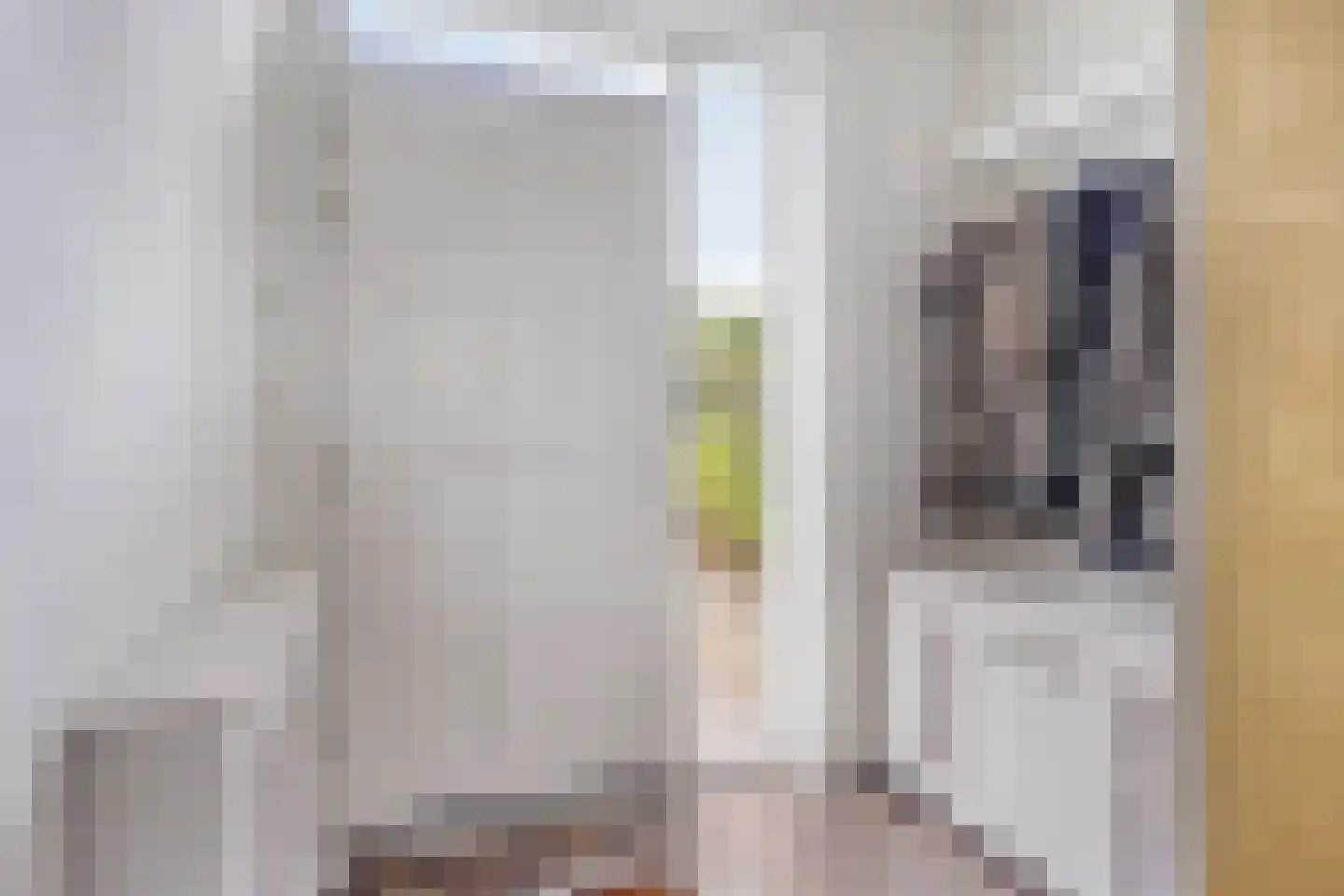 Marlijnstraat 37 Helmond thumbnail 11