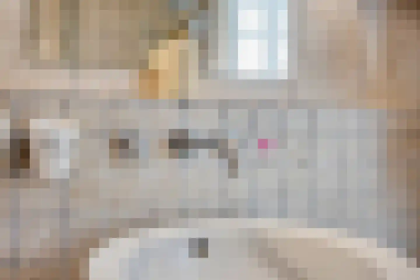 Marlijnstraat 37 Helmond thumbnail 34